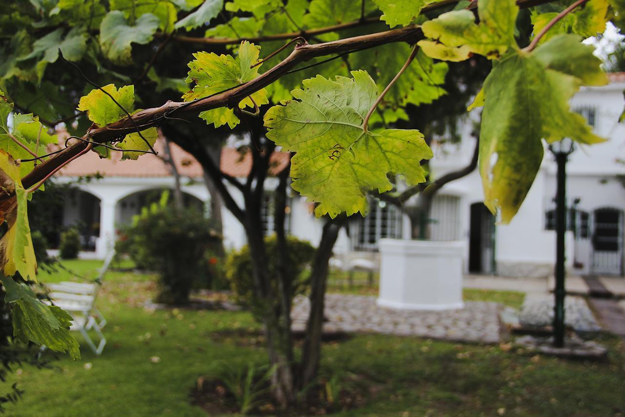 צ'קראס דה קוריה Chiara Lodge מראה חיצוני תמונה