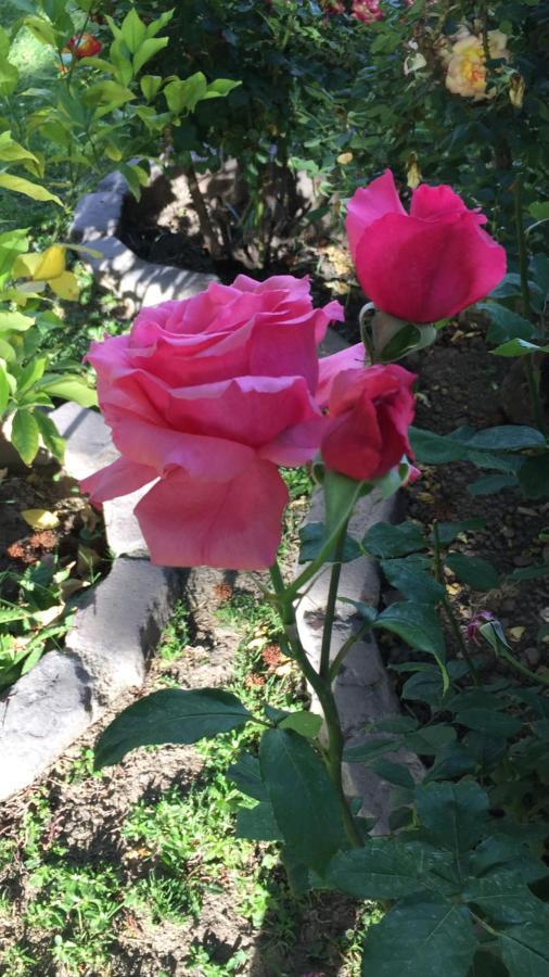 צ'קראס דה קוריה Chiara Lodge מראה חיצוני תמונה